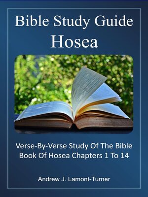cover image of Bible Study Guide